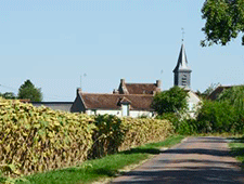 butteaux Blason de Butteaux