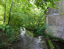 lasson-bord-du-lavoir mairie Lasson 89